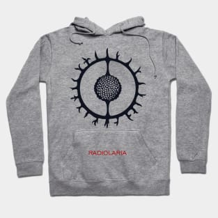 Radiolaria Hoodie